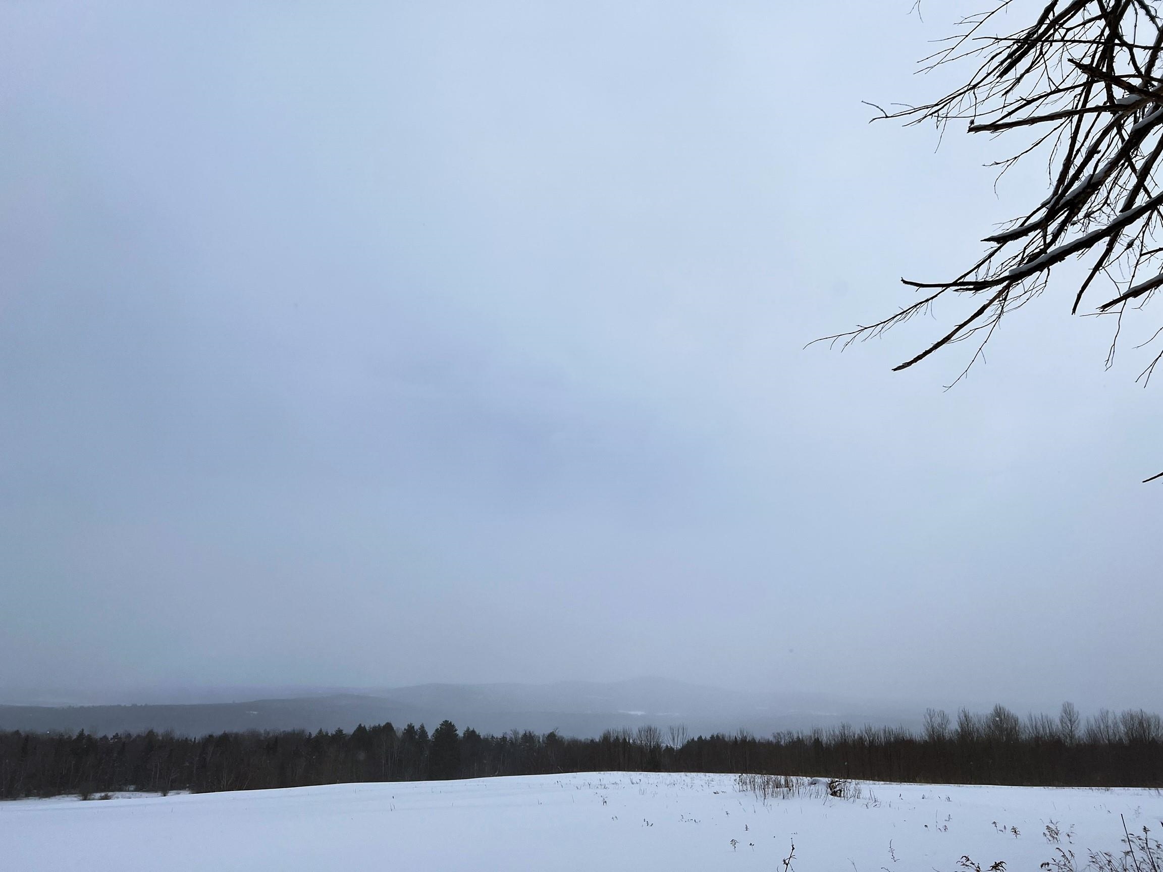 Off Ball Ground Road Westfield, VT 05874 - Photo 5 of 28
