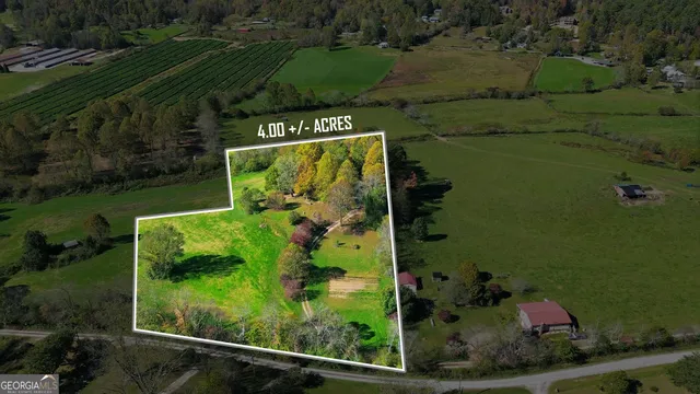 an aerial view of a garden