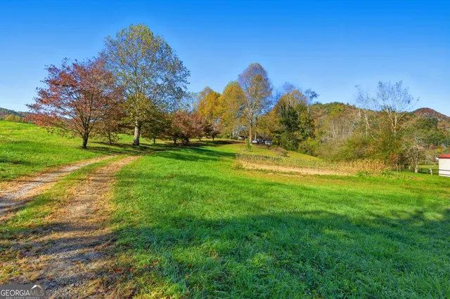 a view of a field of grass and trees