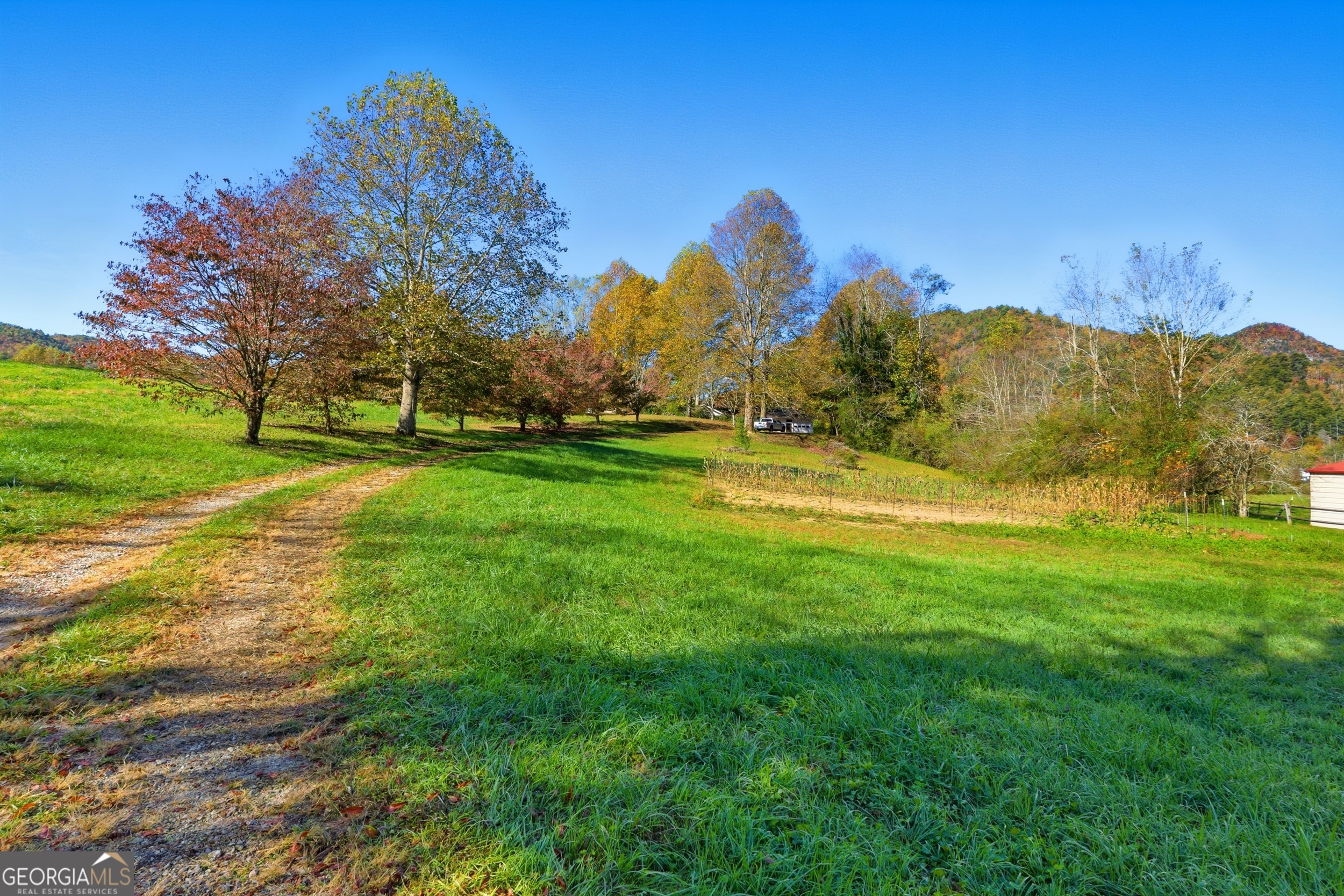 230 Majors Lane Rabun Gap, GA 30568 - Photo 14 of 54 a view of a field of grass and trees