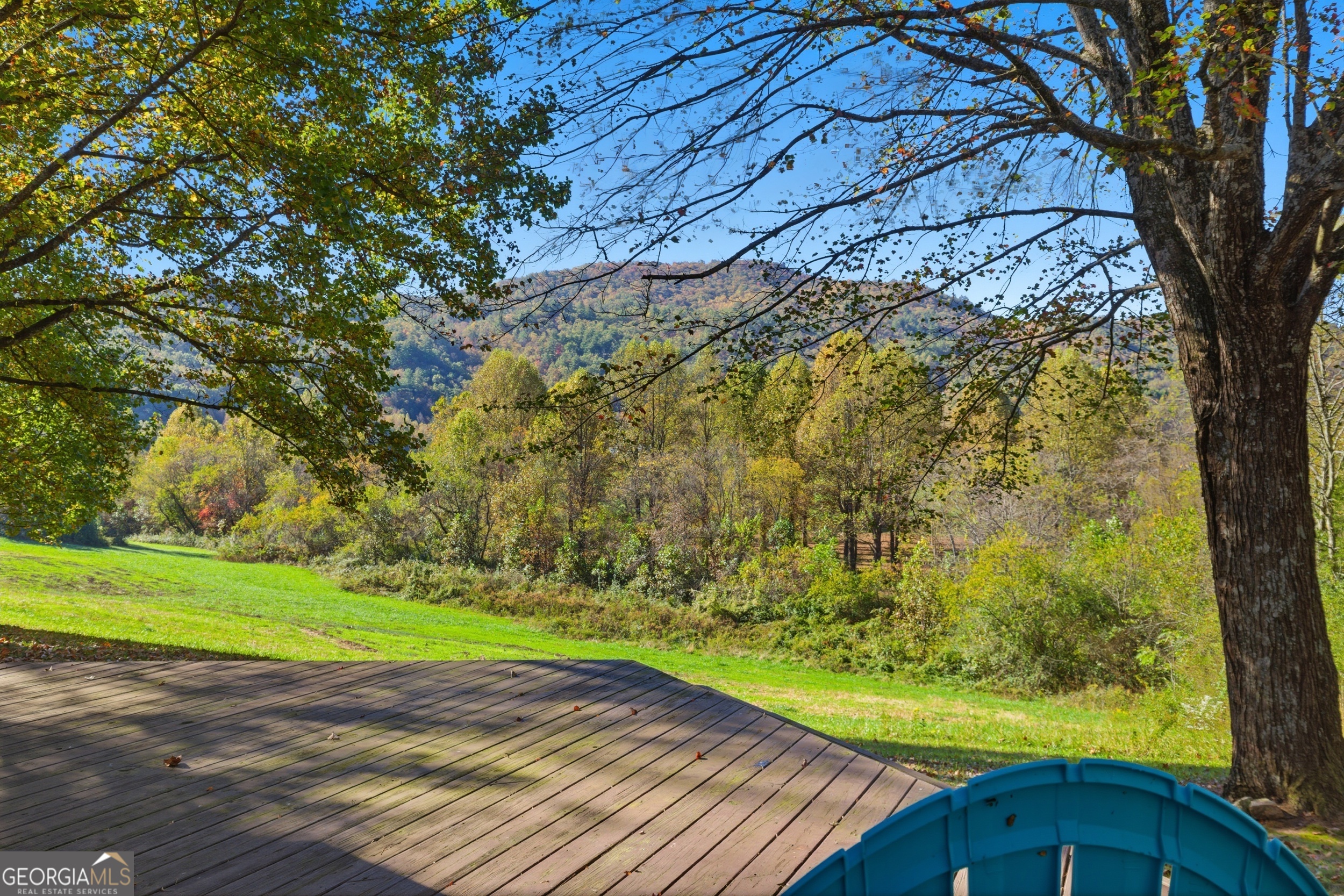 230 Majors Lane Rabun Gap, GA 30568 - Photo 17 of 54 a view of a yard with an trees