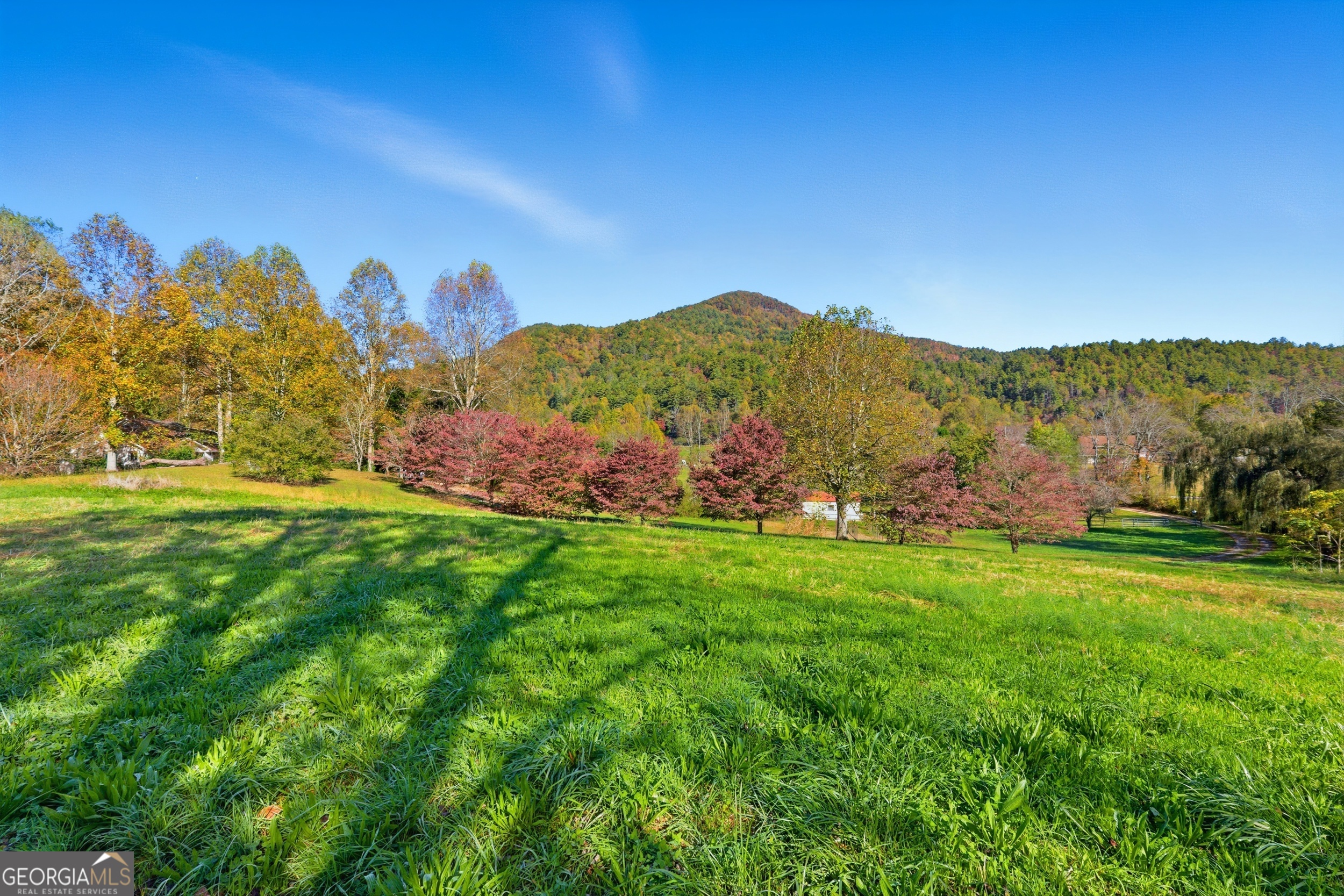 230 Majors Lane Rabun Gap, GA 30568 - Photo 39 of 54 a view of a grassy area with an trees