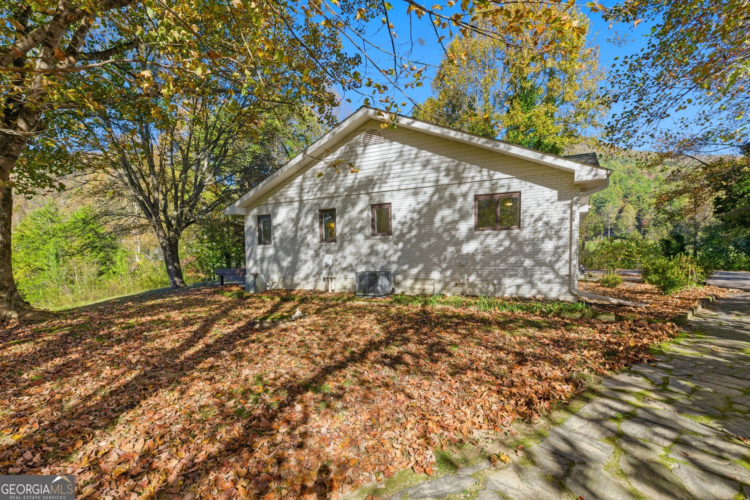 230 Majors Lane Rabun Gap, GA 30568 - Photo 53 of 54 a view of backyard with large trees