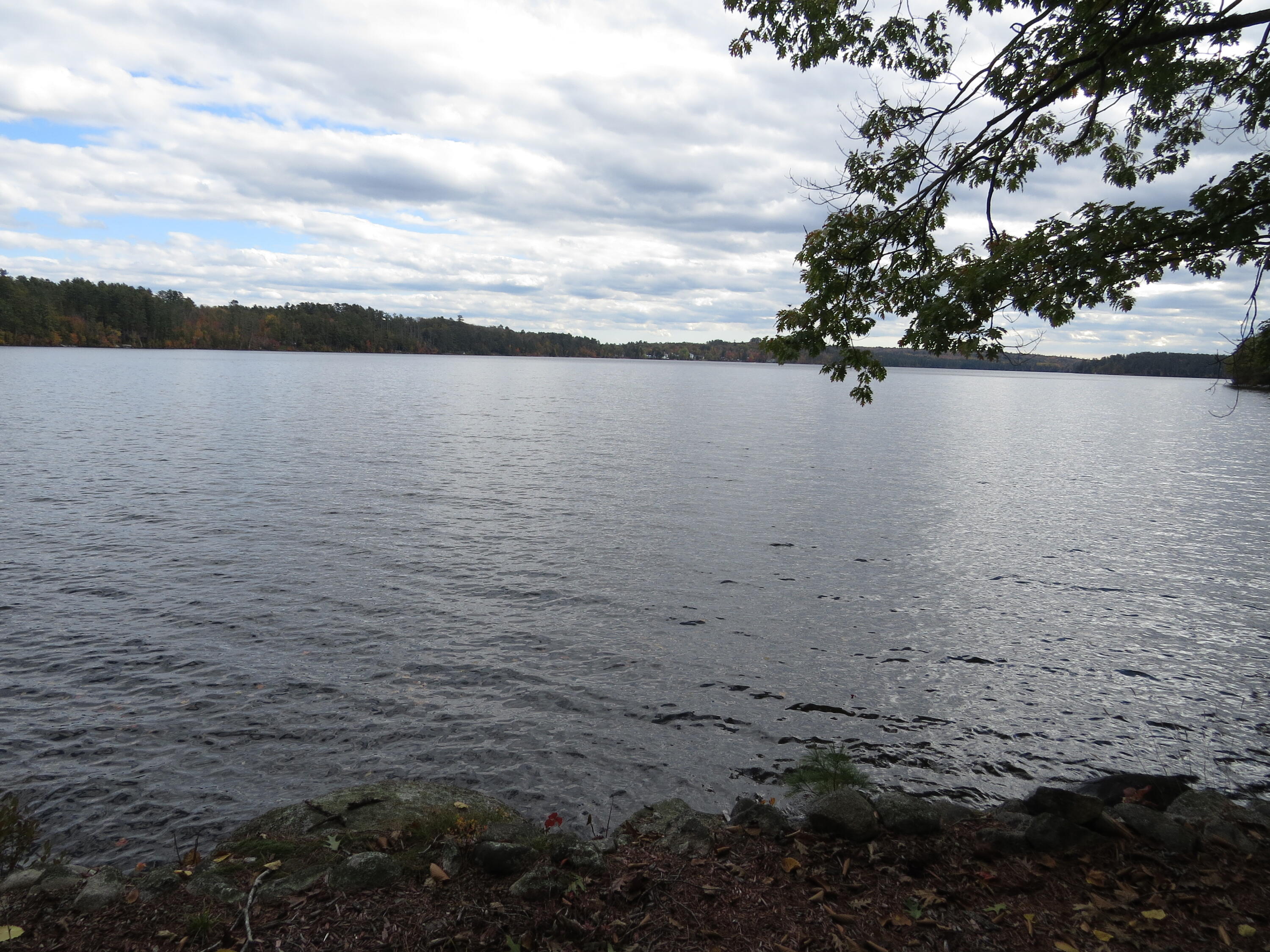 208 Beaver Brook Estates Rome, ME 04963 - Photo 62 of 83 IMG_0078