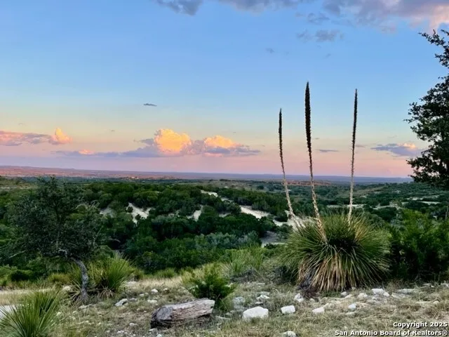a front view of a house with fountain in pots