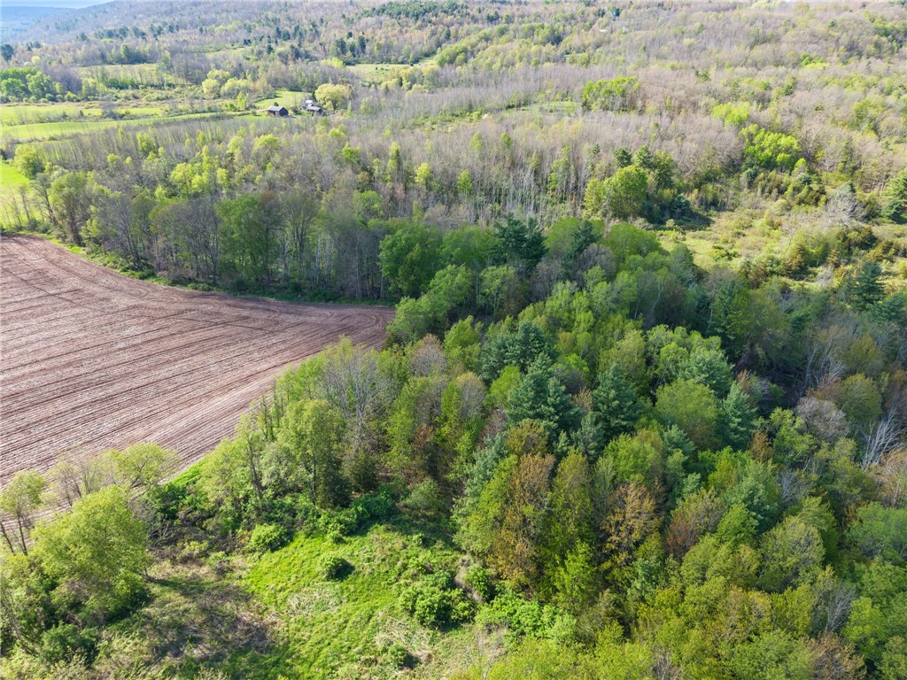 Westkill Road North Blenheim, NY 12131 - Photo 33 of 38