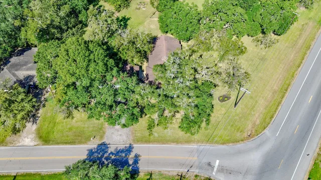 a view of a plant in a garden