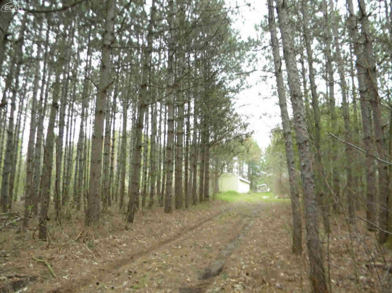 0 South State Corunna, MI 48817 - Photo 5 of 12