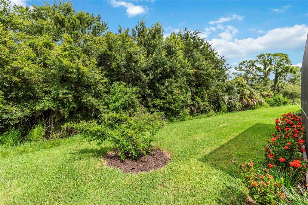 20765 Swallowtail Court Venice, FL 34293 - Photo 32 of 50 a backyard of a house with lots of green space and garden