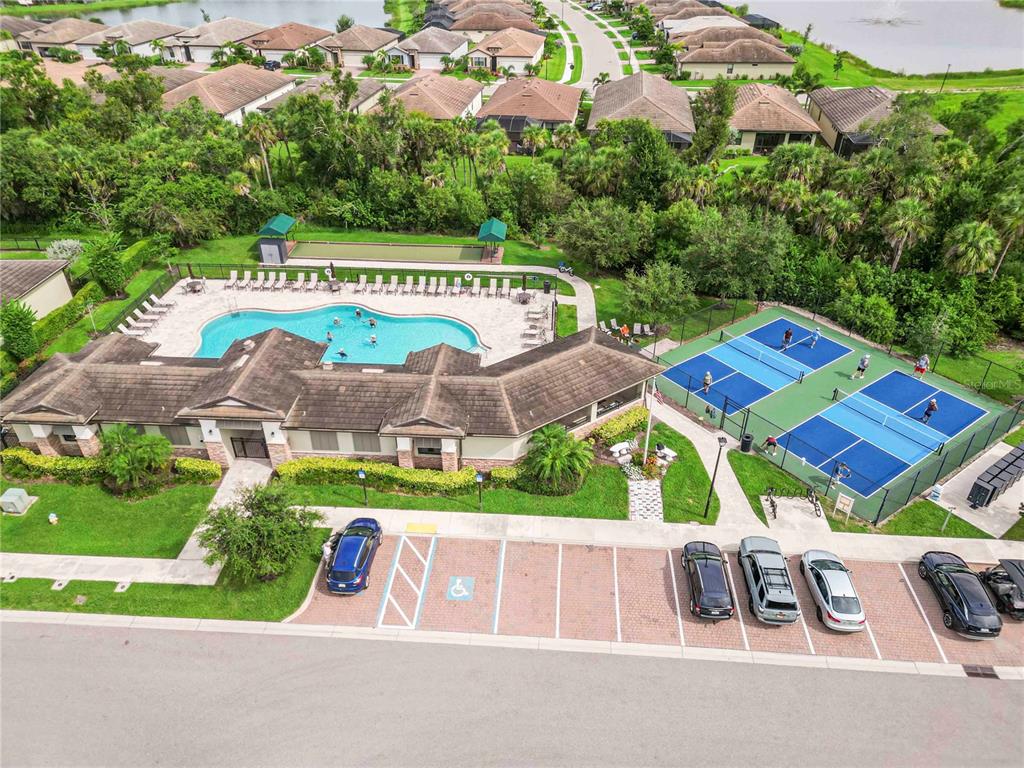 20765 Swallowtail Court Venice, FL 34293 - Photo 38 of 50 a view of swimming pool with outdoor space and garden