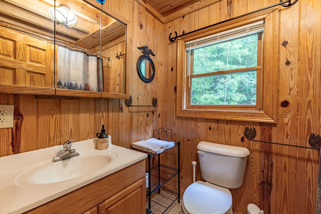 1450 Ritchie Creek Road Blue Ridge, GA 30513 - Photo 23 of 57