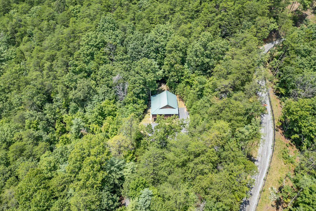 1450 Ritchie Creek Road Blue Ridge, GA 30513 - Photo 45 of 57