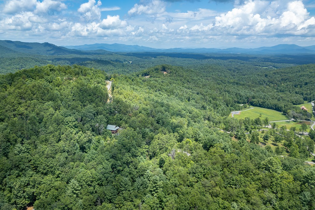 1450 Ritchie Creek Road Blue Ridge, GA 30513 - Photo 46 of 57