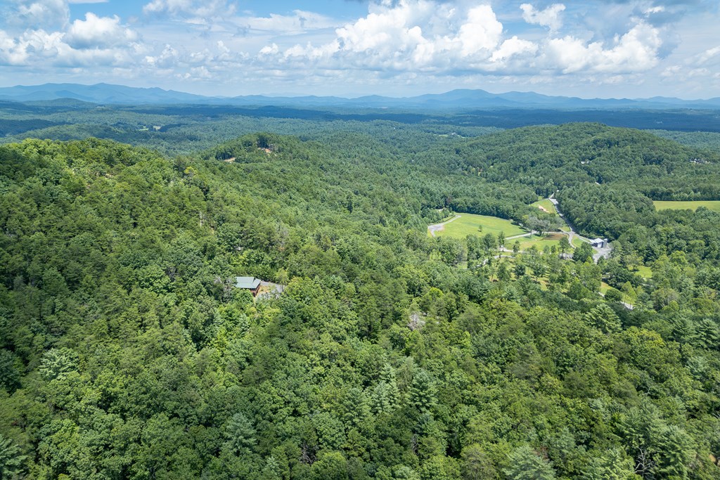 1450 Ritchie Creek Road Blue Ridge, GA 30513 - Photo 47 of 57
