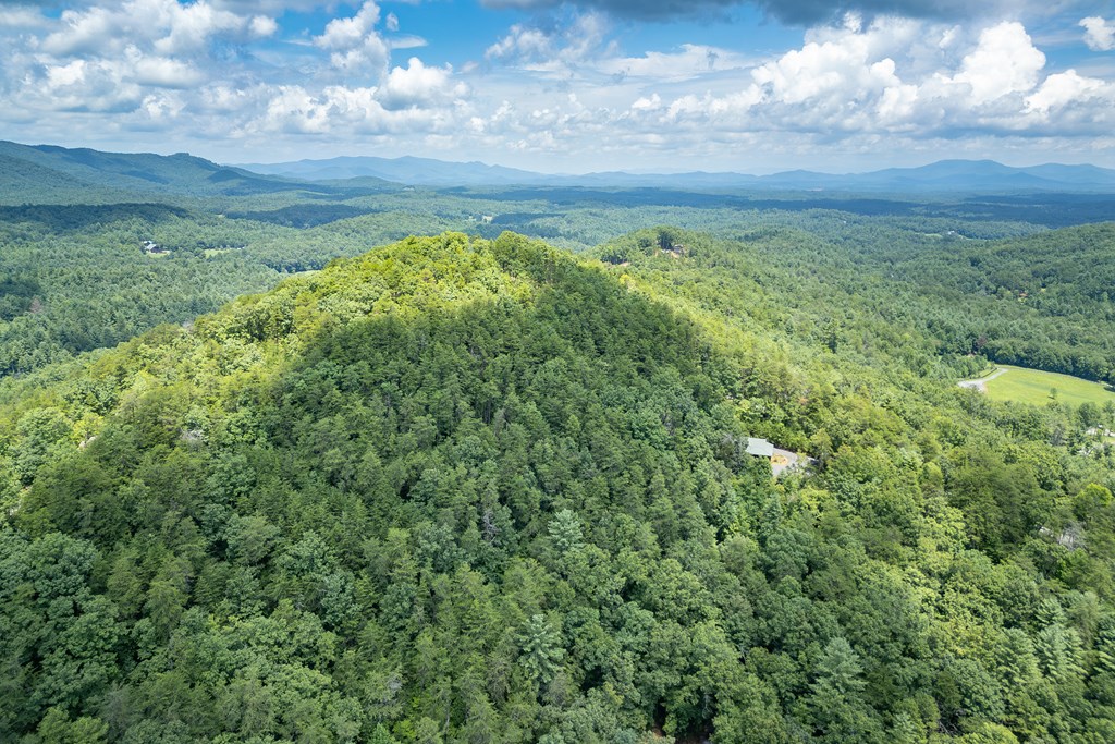 1450 Ritchie Creek Road Blue Ridge, GA 30513 - Photo 48 of 57