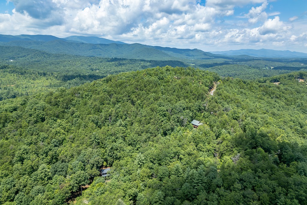 1450 Ritchie Creek Road Blue Ridge, GA 30513 - Photo 49 of 57