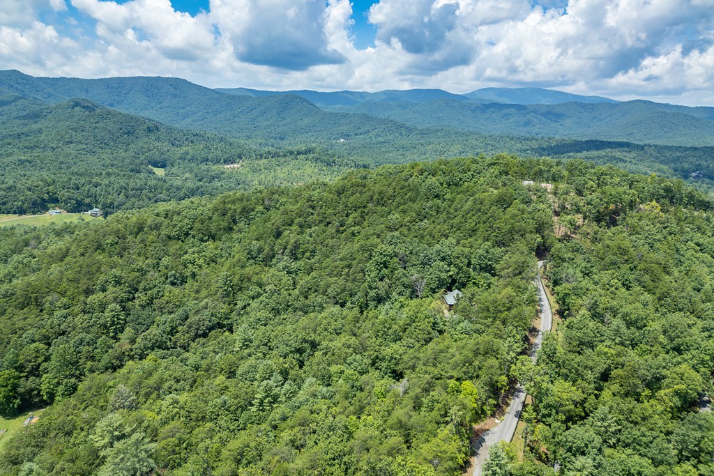 1450 Ritchie Creek Road Blue Ridge, GA 30513 - Photo 50 of 57