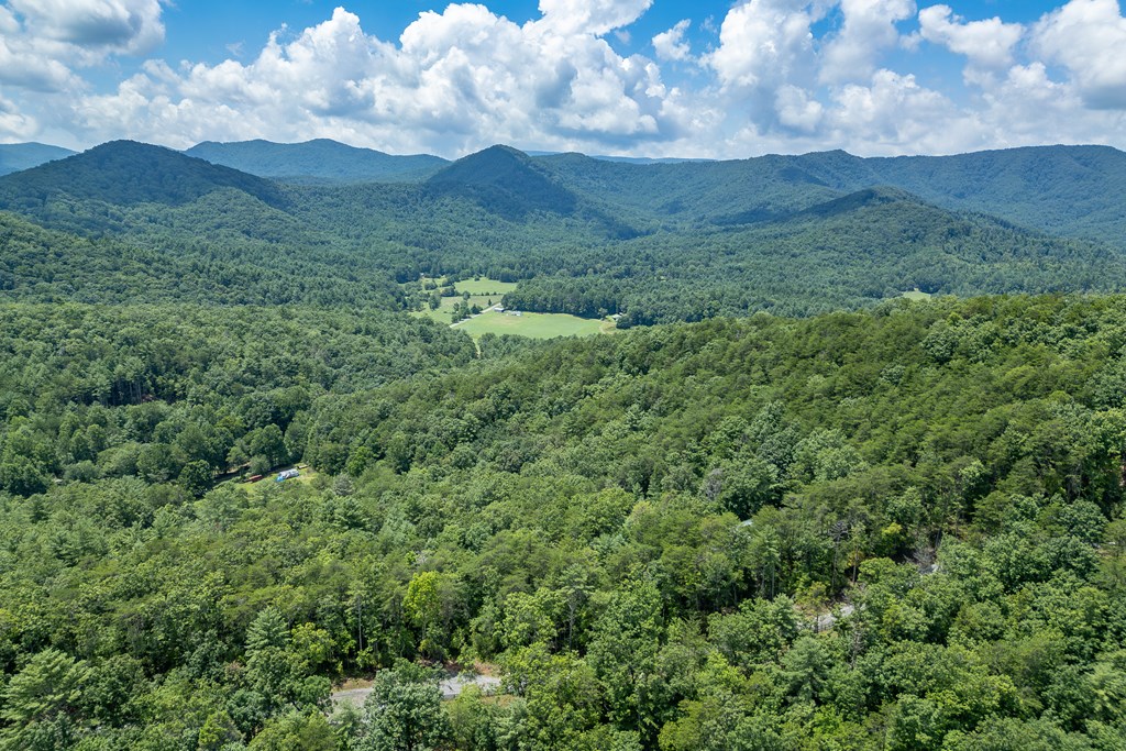 1450 Ritchie Creek Road Blue Ridge, GA 30513 - Photo 52 of 57