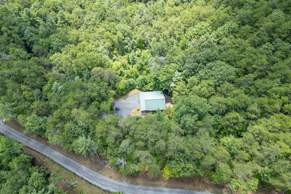 1450 Ritchie Creek Road Blue Ridge, GA 30513 - Photo 53 of 57
