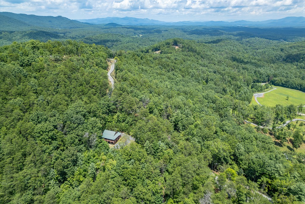 1450 Ritchie Creek Road Blue Ridge, GA 30513 - Photo 54 of 57