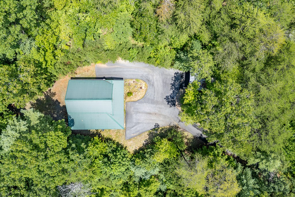 1450 Ritchie Creek Road Blue Ridge, GA 30513 - Photo 55 of 57