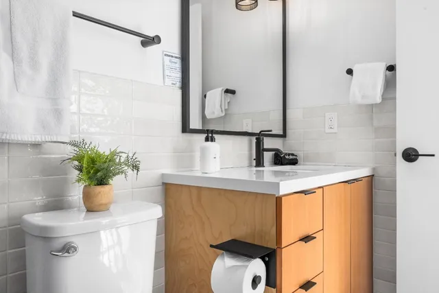 a bathroom with a sink a mirror and potted plant