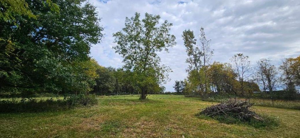 0 Lemon Road Bancroft, MI 48414 - Photo 5 of 16 Gallery Image 5