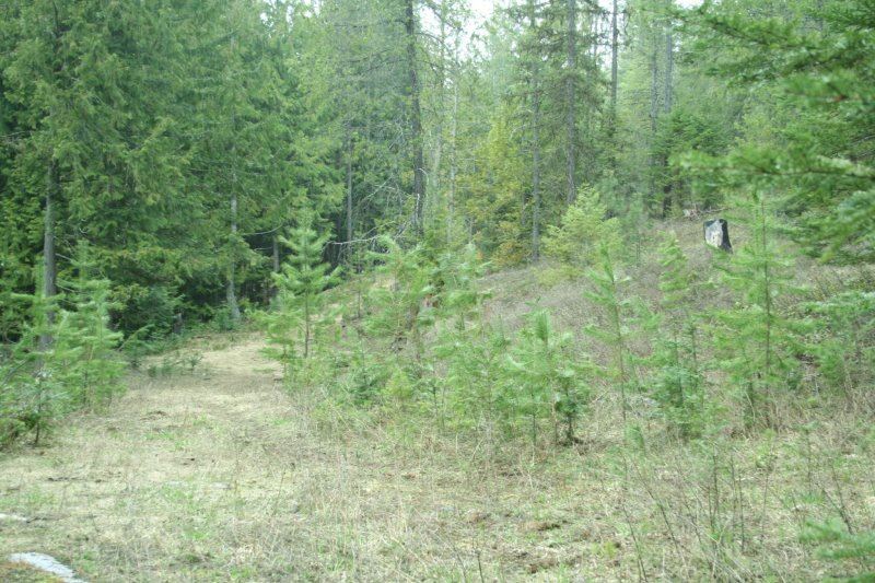 Lot 3 Fertile Valley Road Newport, WA 99156 - Photo 1 of 17