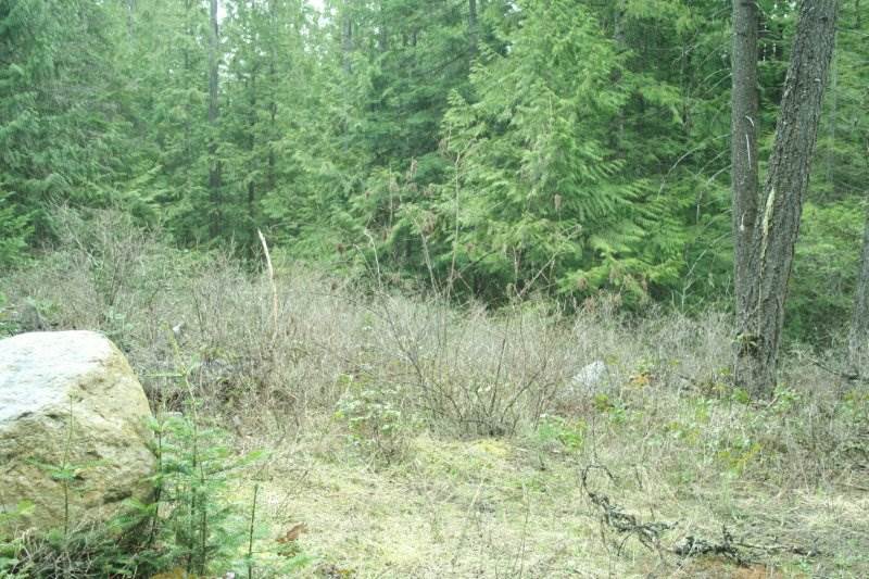 Lot 3 Fertile Valley Road Newport, WA 99156 - Photo 2 of 17