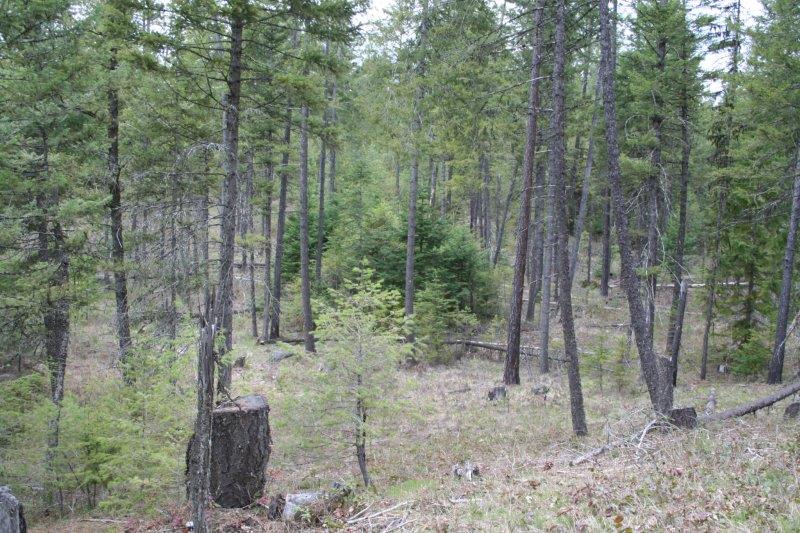 Lot 3 Fertile Valley Road Newport, WA 99156 - Photo 11 of 17