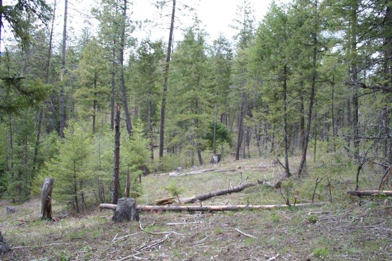 Lot 3 Fertile Valley Road Newport, WA 99156 - Photo 12 of 17