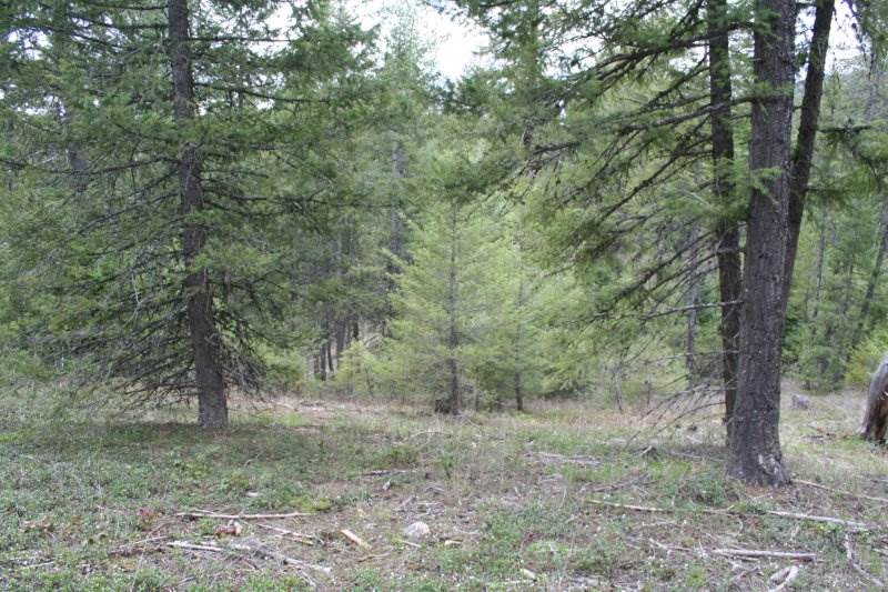 Lot 3 Fertile Valley Road Newport, WA 99156 - Photo 13 of 17