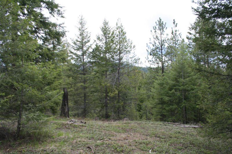 Lot 3 Fertile Valley Road Newport, WA 99156 - Photo 14 of 17