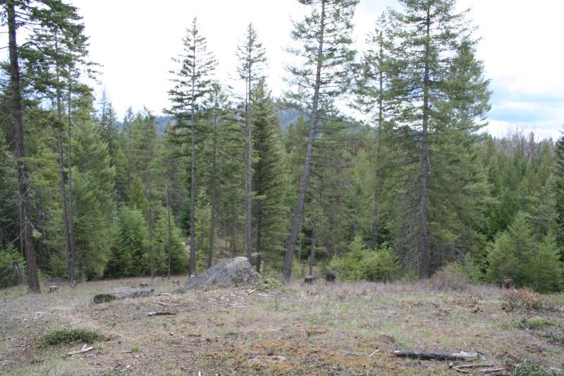 Lot 3 Fertile Valley Road Newport, WA 99156 - Photo 15 of 17