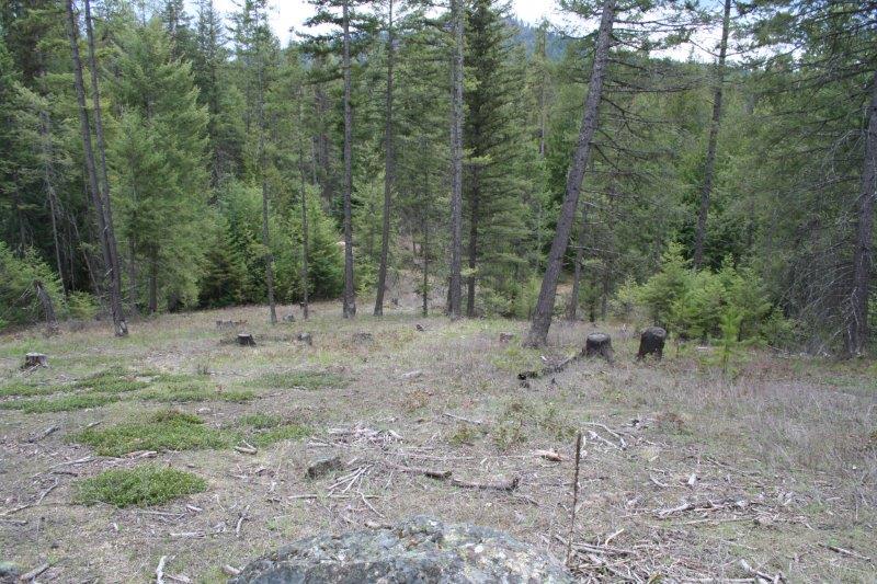Lot 3 Fertile Valley Road Newport, WA 99156 - Photo 16 of 17