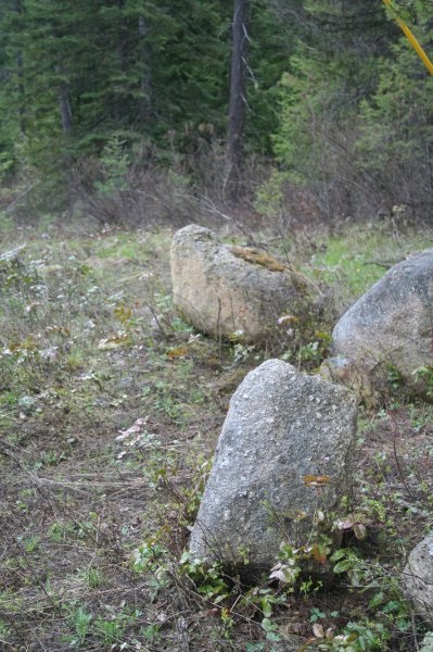 Lot 3 Fertile Valley Road Newport, WA 99156 - Photo 4 of 17