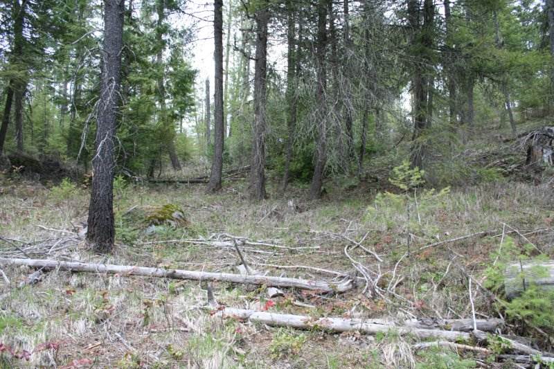 Lot 3 Fertile Valley Road Newport, WA 99156 - Photo 7 of 17