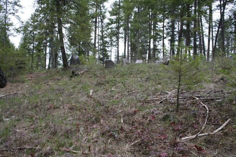 Lot 3 Fertile Valley Road Newport, WA 99156 - Photo 8 of 17