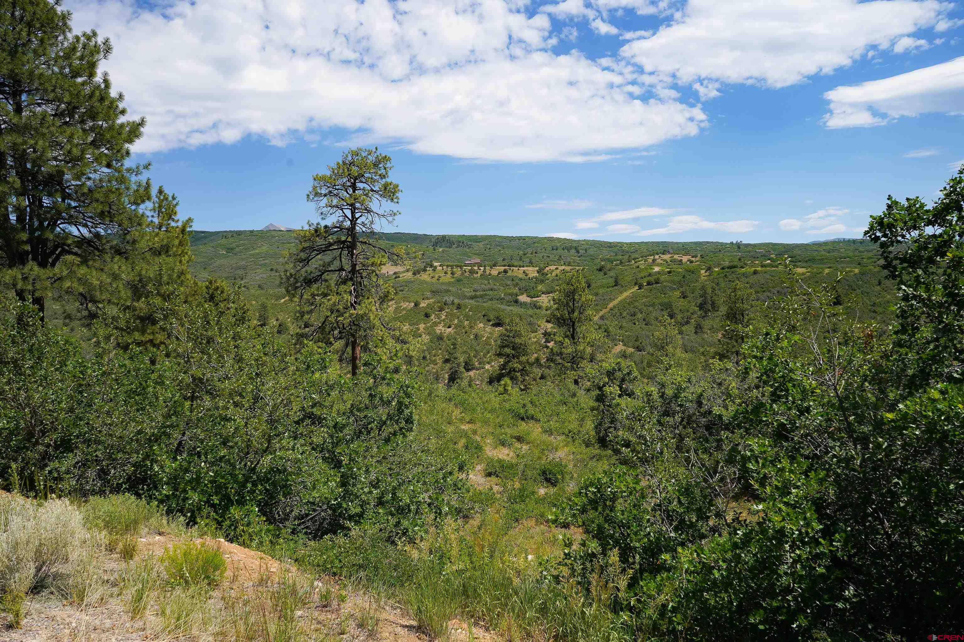 224 West Durango Ridge Road Durango, CO 81301 - Photo 9 of 16