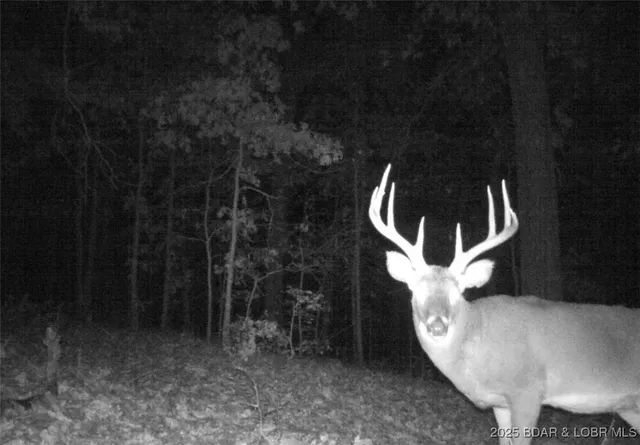 $595,000 | 660 Upper Prairie Hollow Road, Macks Creek, MO 65786