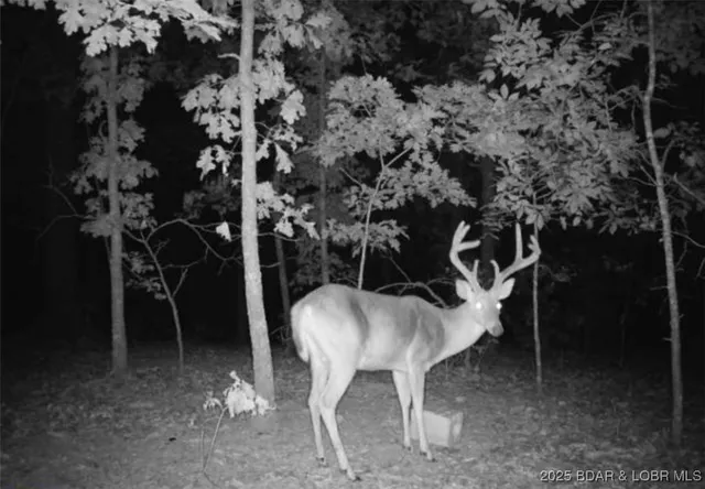 $595,000 | 660 Upper Prairie Hollow Road, Macks Creek, MO 65786