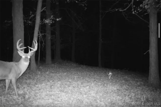 $595,000 | 660 Upper Prairie Hollow Road, Macks Creek, MO 65786