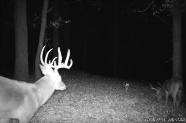 $595,000 | 660 Upper Prairie Hollow Road, Macks Creek, MO 65786