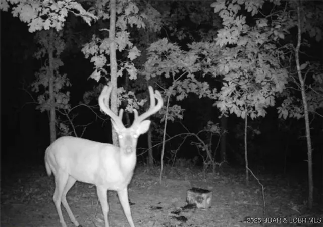 $595,000 | 660 Upper Prairie Hollow Road, Macks Creek, MO 65786