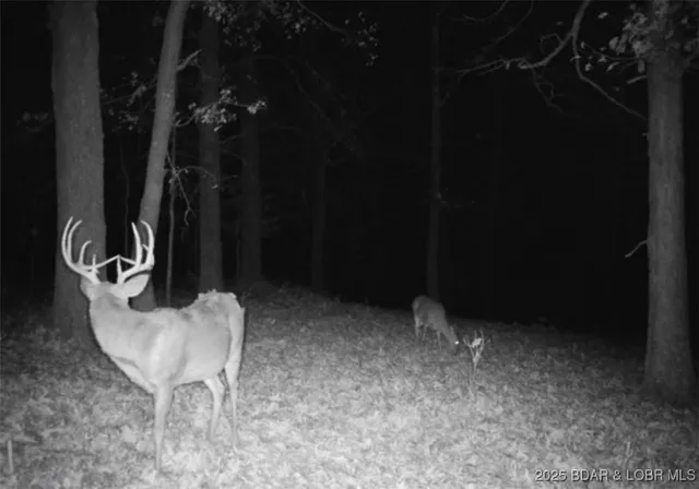 $595,000 | 660 Upper Prairie Hollow Road, Macks Creek, MO 65786