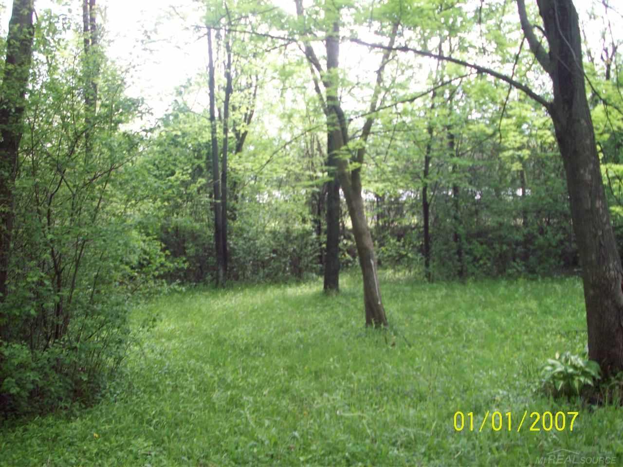 3295 Cone Avenue Rochester Hills, MI 48309 - Photo 7 of 8