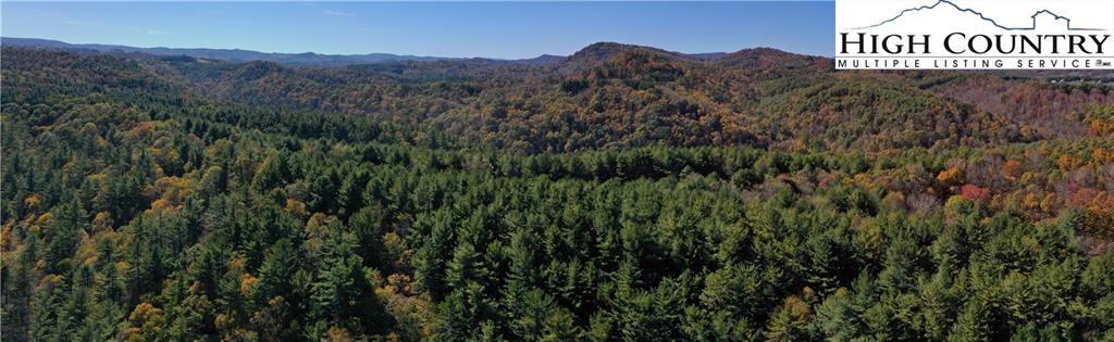 Bare Creek Road Jefferson, NC 28640 - Photo 8 of 18 Gallery Image 8