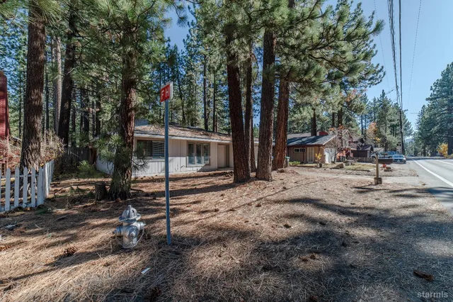 a view of a forest with trees