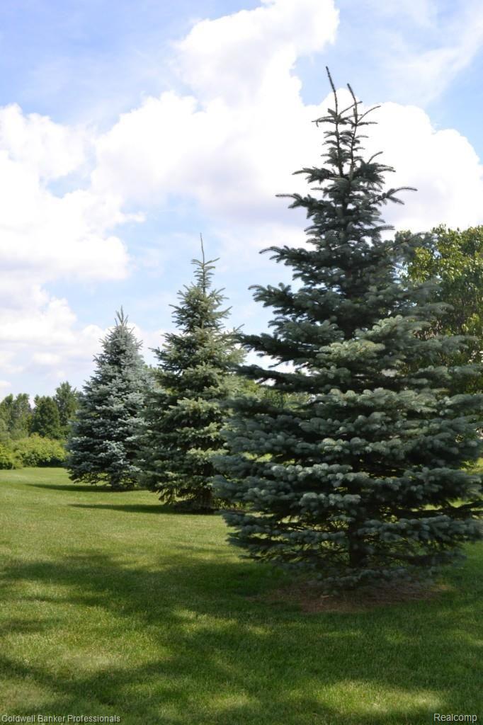 1400 Turrill Road Lapeer, MI 48446 - Photo 9 of 33 052.jpg