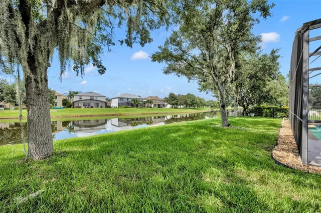 a view of a park with large trees